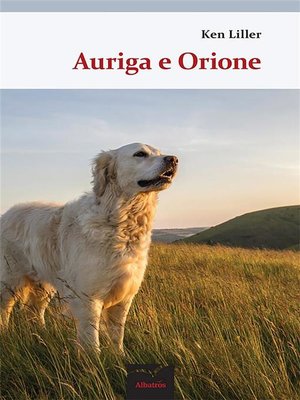 cover image of Auriga e Orione